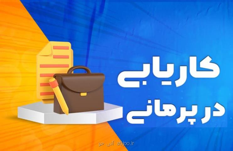 پرمانی، نخستین شبکه اجتماعی کاری در ایران