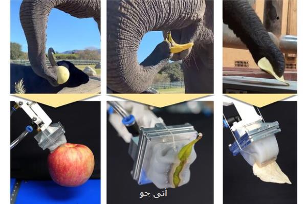 طراحی اولین دست رباتیکی با الهام از خرطوم فیل