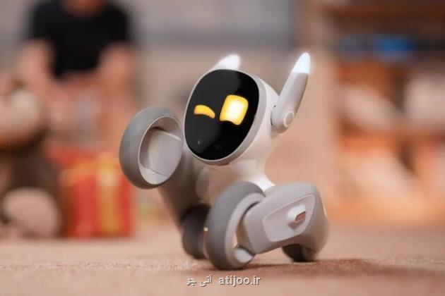 این ربات بامزه از خانه شما محافظت می کند