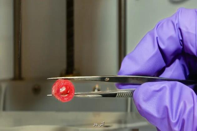 چاپ زیستی رگ های خونی برای کمک به سلامت فضانوردان